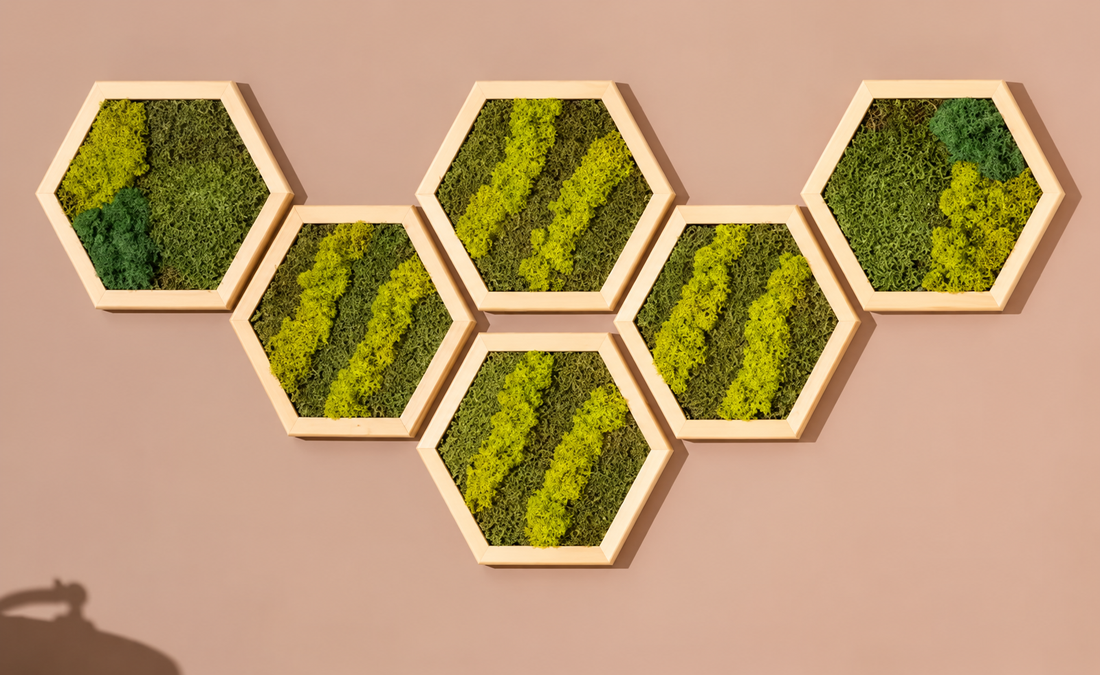 Hexagon din licheni in nuante de verde 30x25 cm - casă & stil de viață - decorațiuni de casă - decorațiuni de pereți - tablou cu licheni - Artynos.ro