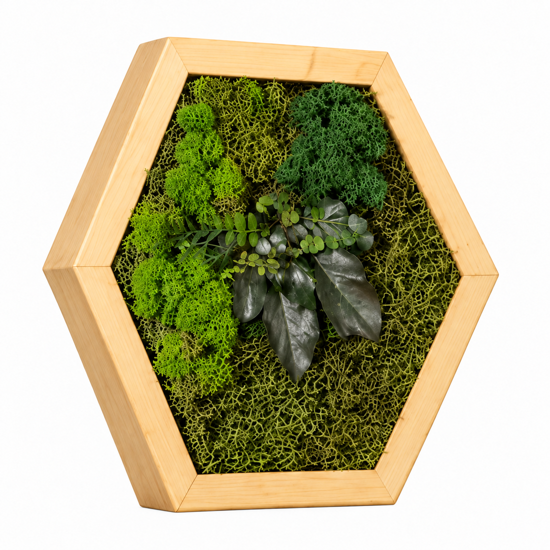 Hexagon din licheni stabilizati, muschi plat si plante 30x25 cm - casă & stil de viață - decorațiuni de casă - decorațiuni de pereți - tablou cu licheni - Artynos.ro
