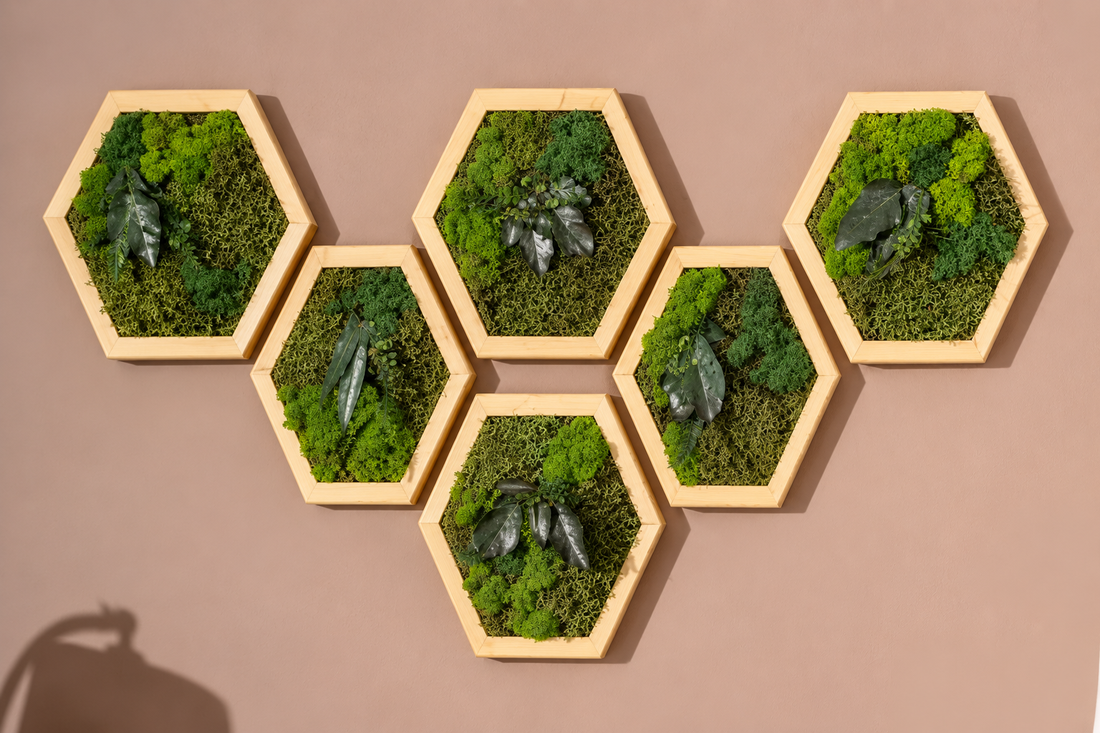 Hexagon din licheni stabilizati, muschi plat si plante 30x25 cm - casă & stil de viață - decorațiuni de casă - decorațiuni de pereți - tablou cu licheni - Artynos.ro