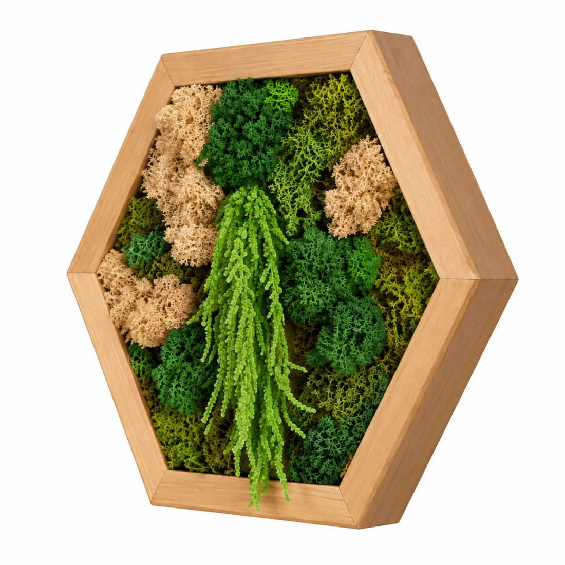 Hexagon din licheni, muschi plat si plante stabilizate 30x25 cm - casă & stil de viață - decorațiuni de casă - decorațiuni de pereți - tablou cu licheni - Artynos.ro