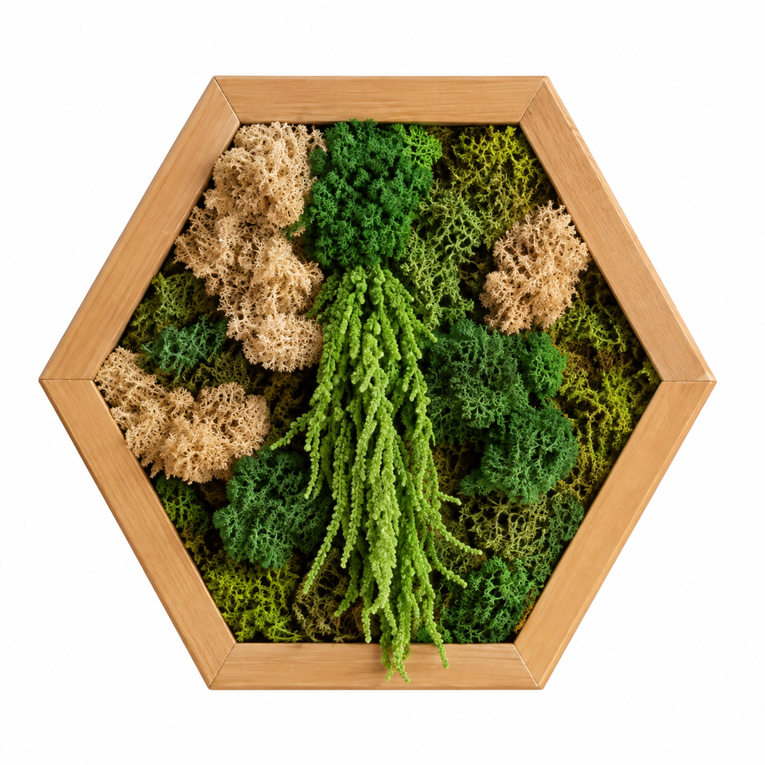 Hexagon din licheni, muschi plat si plante stabilizate 30x25 cm - casă & stil de viață - decorațiuni de casă - decorațiuni de pereți - tablou cu licheni - Artynos.ro