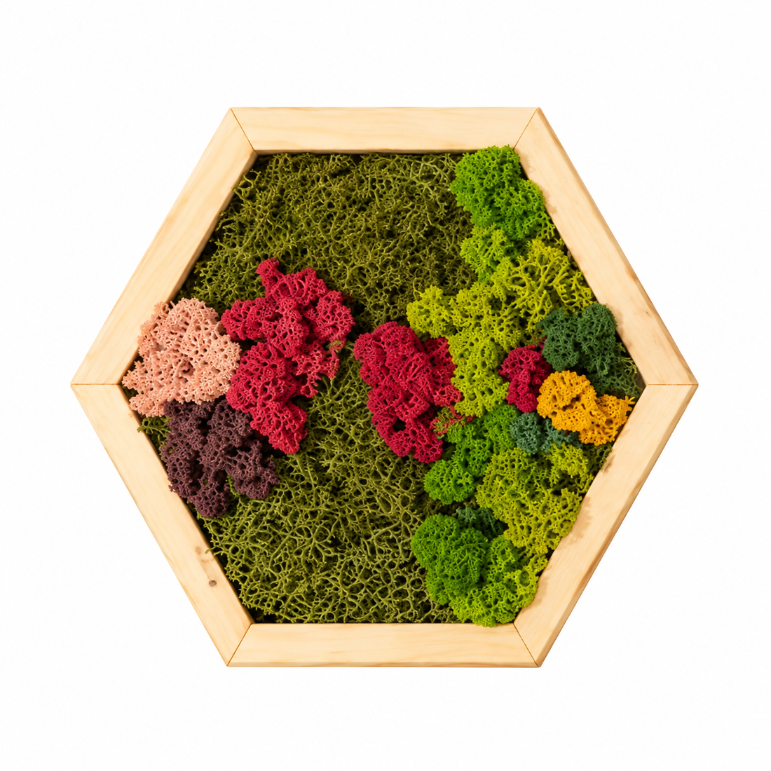 Hexagon din licheni stabilizati si muschi plat multicolor 30x25 cm - casă & stil de viață - decorațiuni de casă - decorațiuni de pereți - tablou cu licheni - Artynos.ro