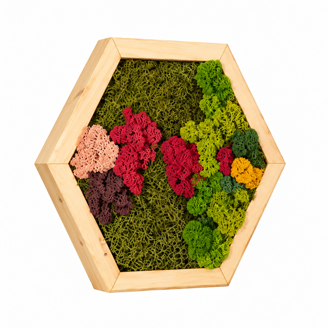 Hexagon din licheni stabilizati si muschi plat multicolor 30x25 cm - casă & stil de viață - decorațiuni de casă - decorațiuni de pereți - tablou cu licheni - Artynos.ro