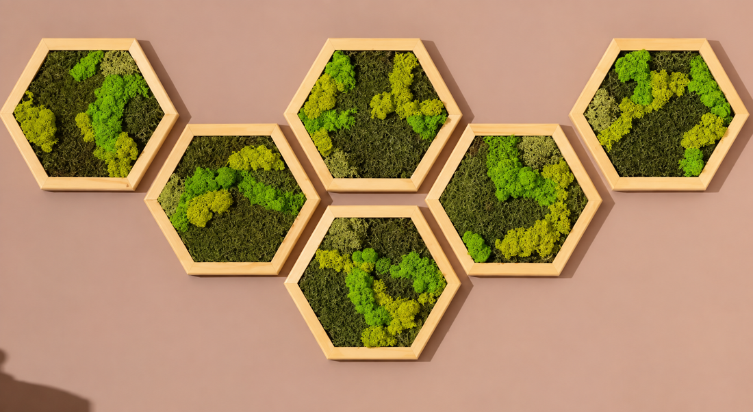 Hexagon din licheni stabilizati si muschi plat 30x25 cm - casă & stil de viață - decorațiuni de casă - decorațiuni de pereți - tablou cu licheni - Artynos.ro