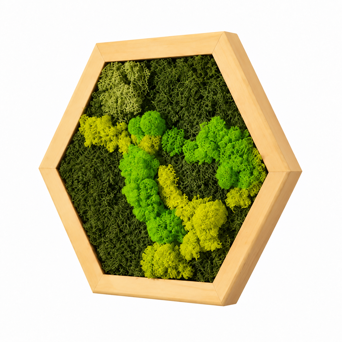 Hexagon din licheni stabilizati si muschi plat 30x25 cm - casă & stil de viață - decorațiuni de casă - decorațiuni de pereți - tablou cu licheni - Artynos.ro
