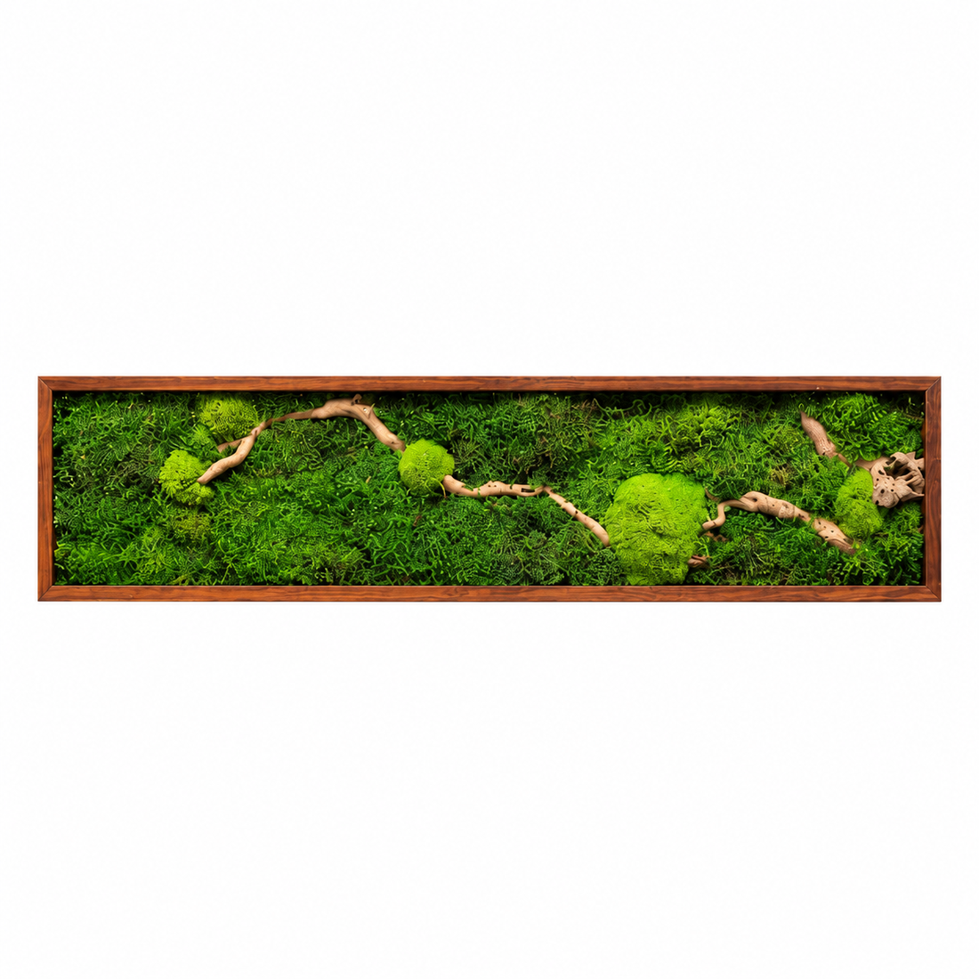 Tablou din muschi plat, bombat si elemente decorative 100x20 cm - casă & stil de viață - decorațiuni de casă - decorațiuni de pereți - tablou cu licheni - Artynos.ro