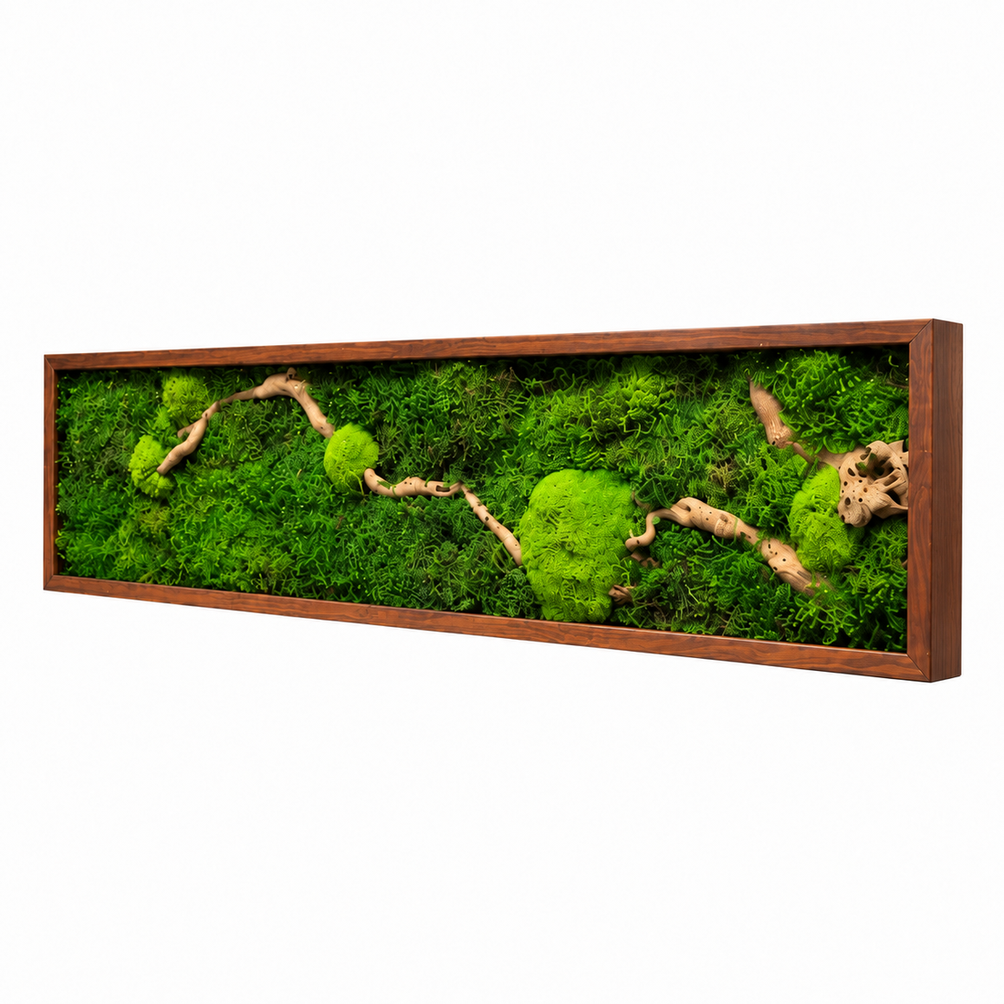 Tablou din muschi plat, bombat si elemente decorative 100x20 cm - casă & stil de viață - decorațiuni de casă - decorațiuni de pereți - tablou cu licheni - Artynos.ro