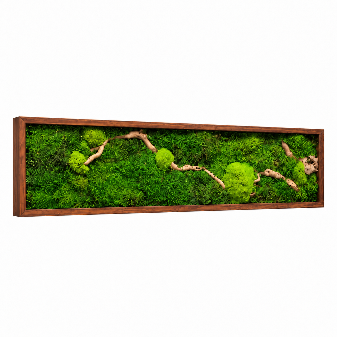 Tablou din muschi plat, bombat si elemente decorative 100x20 cm - casă & stil de viață - decorațiuni de casă - decorațiuni de pereți - tablou cu licheni - Artynos.ro