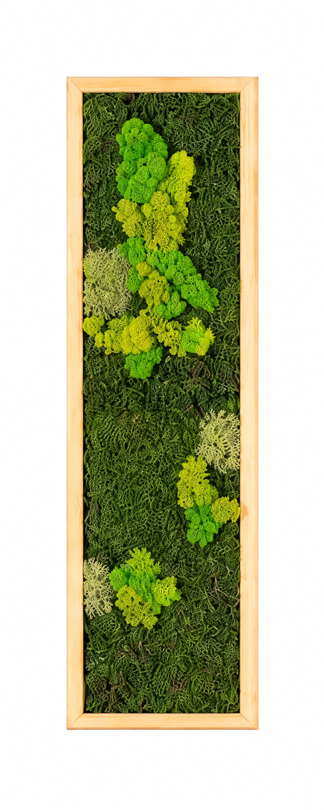 TAblou din licheni stabilizati si muschi plat 100x20 cm - casă & stil de viață - decorațiuni de casă - decorațiuni de pereți - tablou cu licheni - Artynos.ro