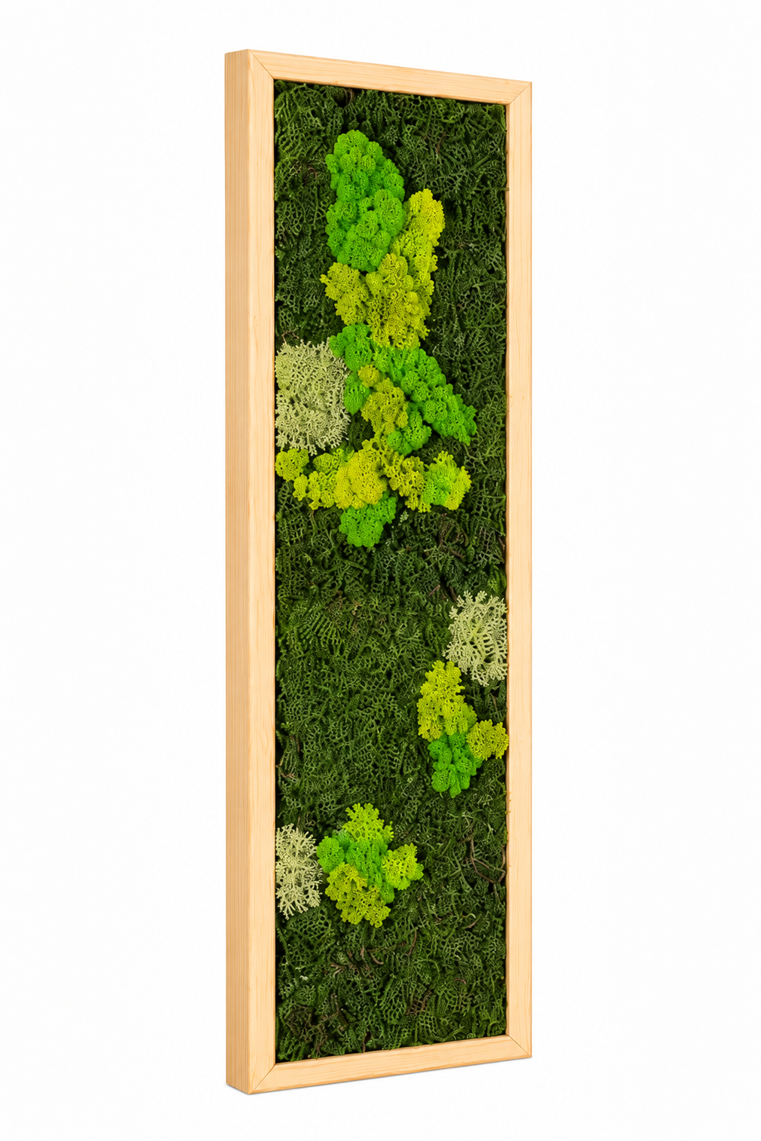 TAblou din licheni stabilizati si muschi plat 100x20 cm - casă & stil de viață - decorațiuni de casă - decorațiuni de pereți - tablou cu licheni - Artynos.ro