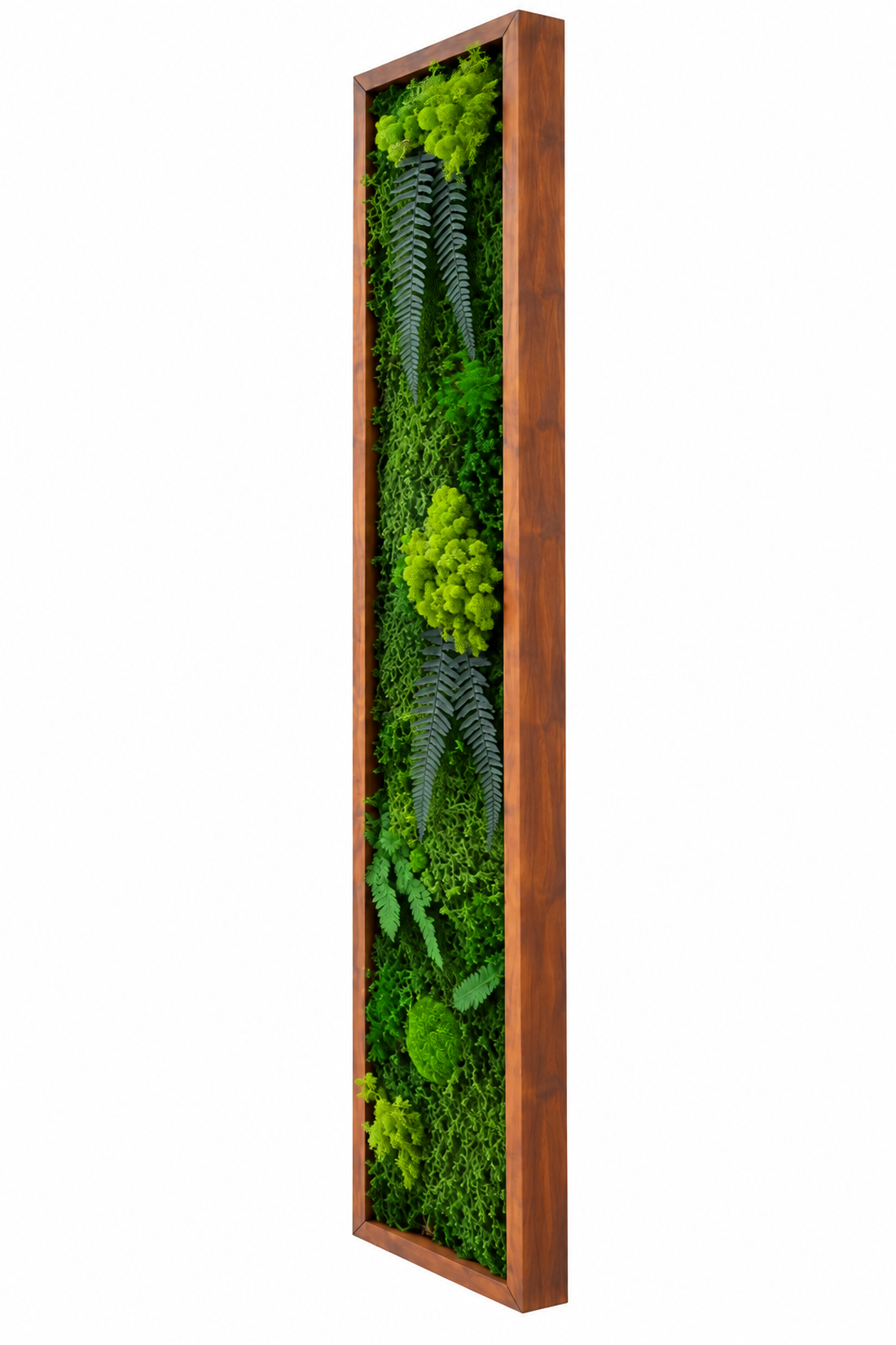 Tablou din licheni stabilizati si muschi plat si plante naturale 100x20 cm - casă & stil de viață - decorațiuni de casă - decorațiuni de pereți - tablou cu licheni - Artynos.ro