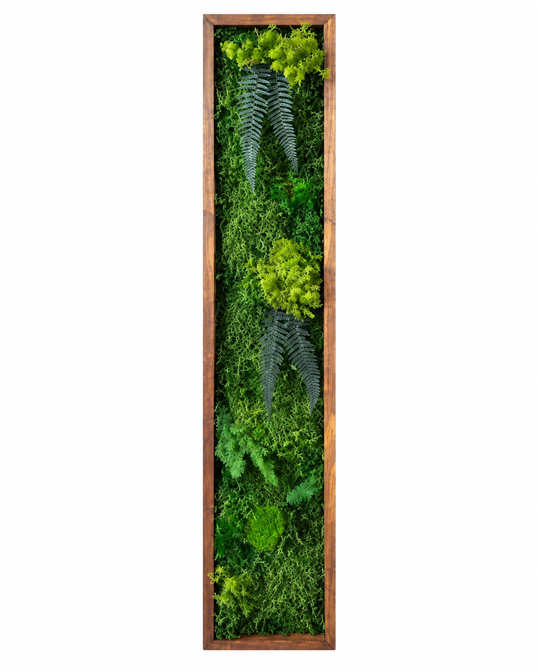 Tablou din licheni stabilizati si muschi plat si plante naturale 100x20 cm - casă & stil de viață - decorațiuni de casă - decorațiuni de pereți - tablou cu licheni - Artynos.ro