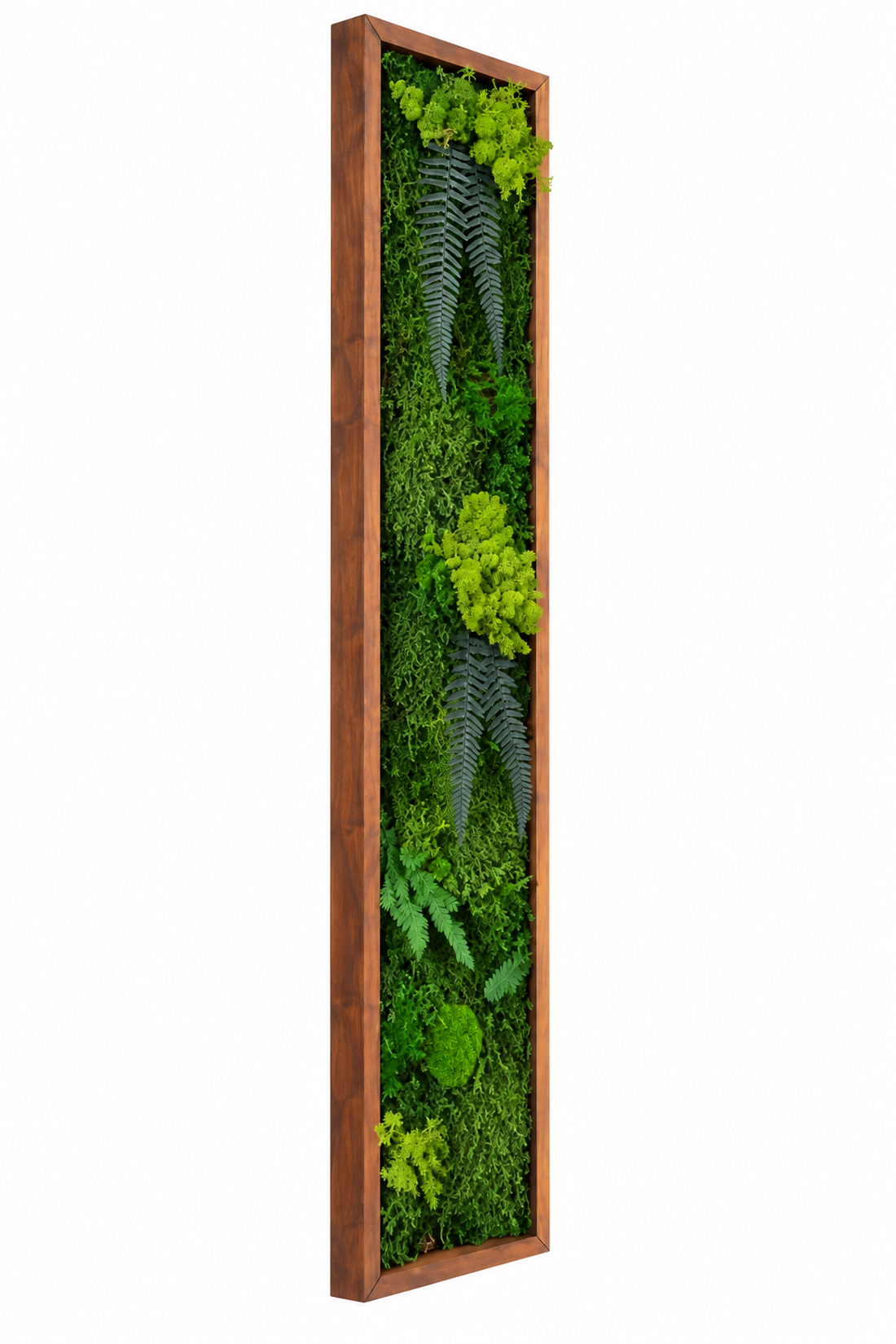 Tablou din licheni stabilizati si muschi plat si plante naturale 100x20 cm - casă & stil de viață - decorațiuni de casă - decorațiuni de pereți - tablou cu licheni - Artynos.ro