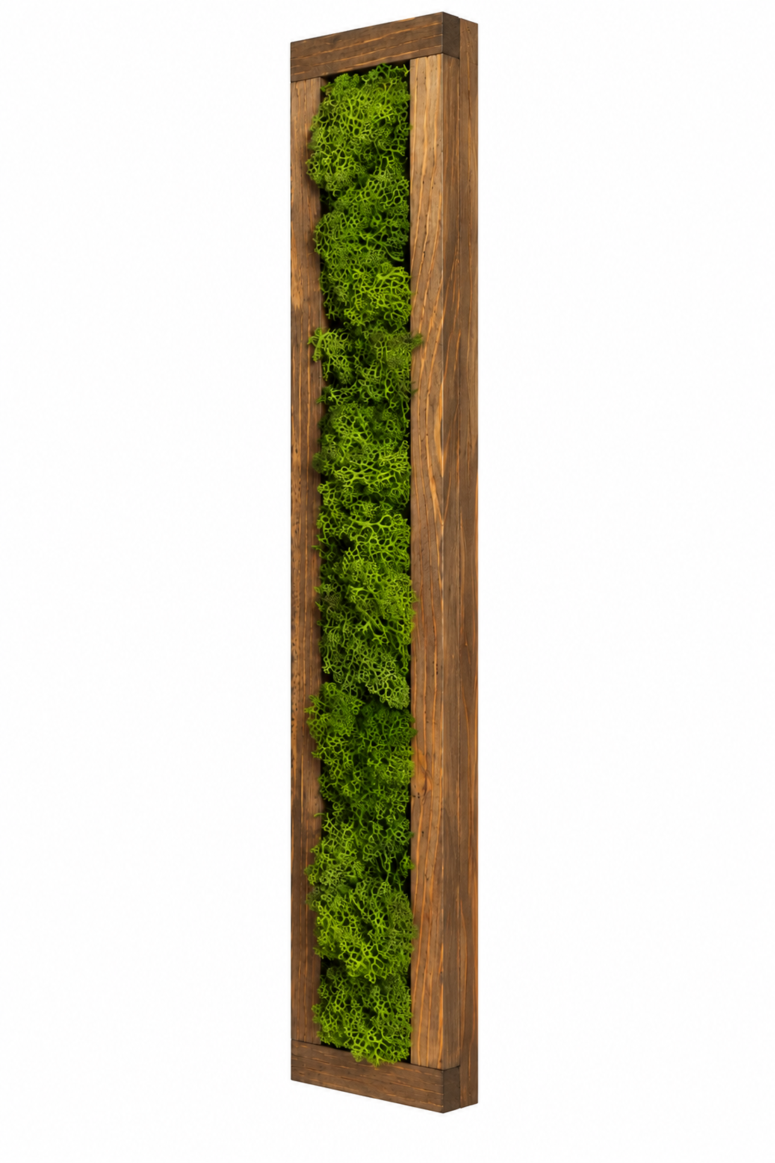 Tablou din licheni stabilizati, rama maro 100x15 cm - casă & stil de viață - decorațiuni de casă - decorațiuni de pereți - tablou cu licheni - Artynos.ro