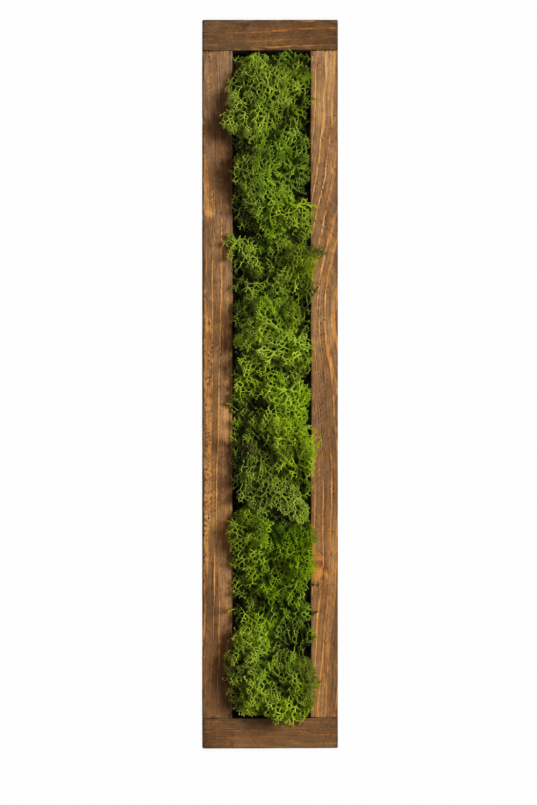Tablou din licheni stabilizati, rama maro 100x15 cm - casă & stil de viață - decorațiuni de casă - decorațiuni de pereți - tablou cu licheni - Artynos.ro
