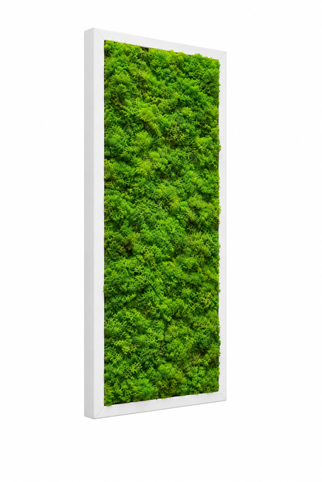 Tablou din licheni stabilizati si muschi plat 70x30 cm - casă & stil de viață - decorațiuni de casă - decorațiuni de pereți - tablou cu licheni - Artynos.ro