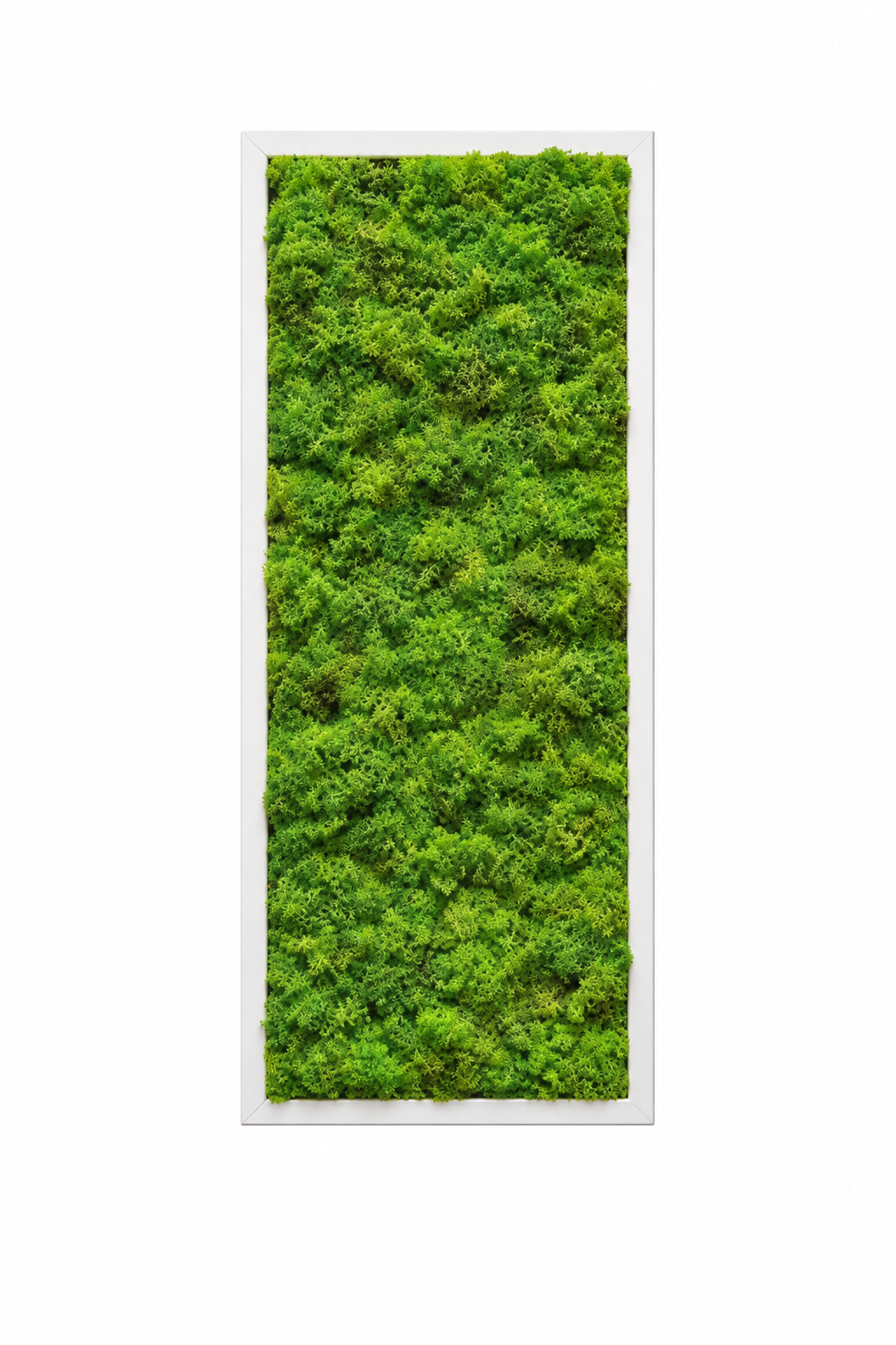 Tablou din licheni stabilizati si muschi plat 70x30 cm - casă & stil de viață - decorațiuni de casă - decorațiuni de pereți - tablou cu licheni - Artynos.ro