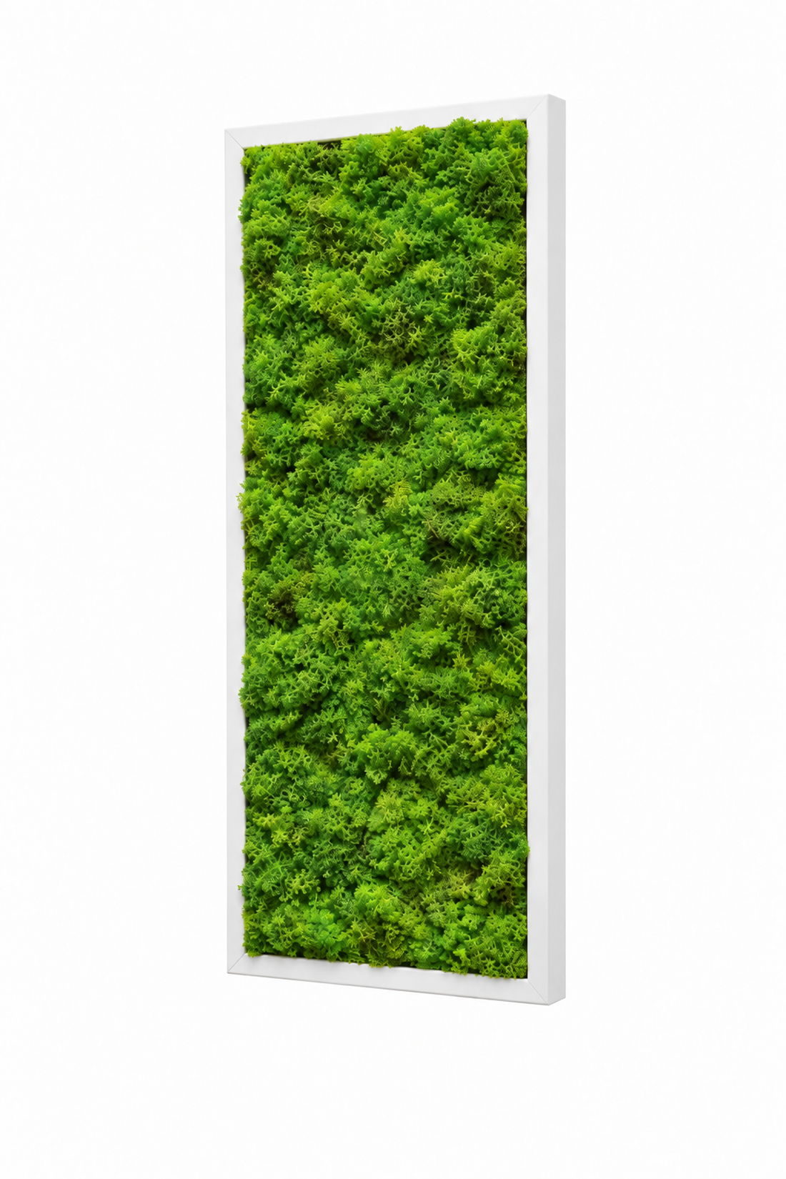Tablou din licheni stabilizati si muschi plat 70x30 cm - casă & stil de viață - decorațiuni de casă - decorațiuni de pereți - tablou cu licheni - Artynos.ro
