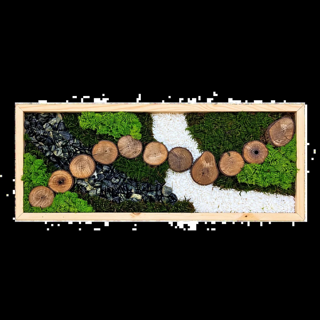 Tablou cu licheni stabilizați și 11 rondele din lemn, 70�30 cm - casă & stil de viață - decorațiuni de casă - decorațiuni de pereți - tablou cu licheni - Artynos.ro