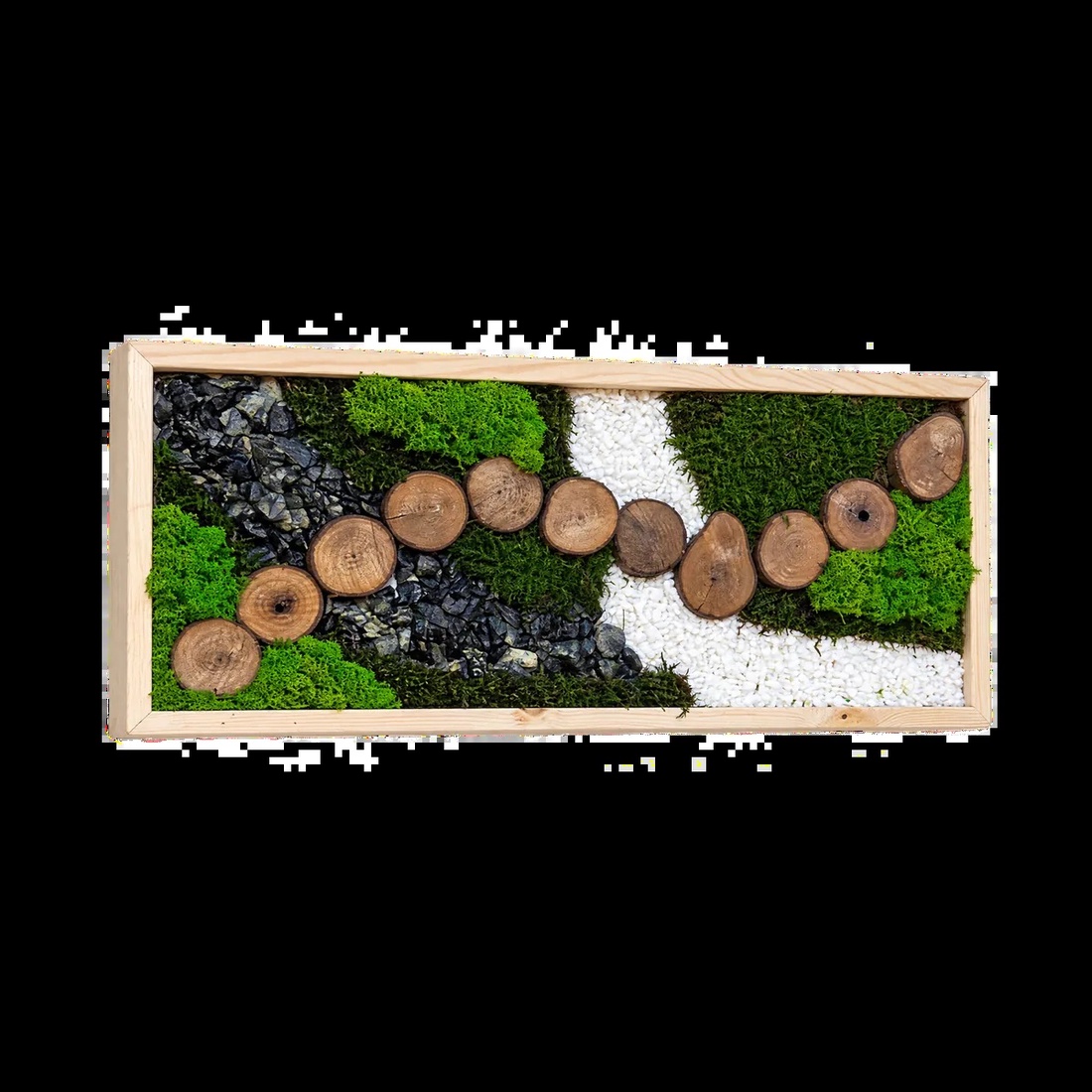 Tablou cu licheni stabilizați și 11 rondele din lemn, 70�30 cm - casă & stil de viață - decorațiuni de casă - decorațiuni de pereți - tablou cu licheni - Artynos.ro