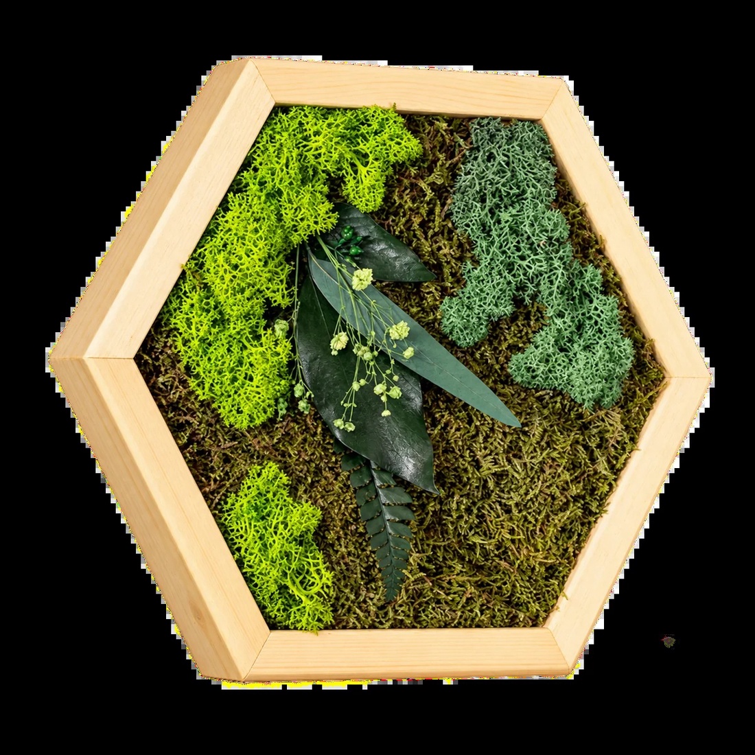 Hexagon vegetal cu licheni, mușchi și frunze stabilizate, 30�25 cm - casă & stil de viață - decorațiuni de casă - decorațiuni de pereți - tablou cu licheni - Artynos.ro