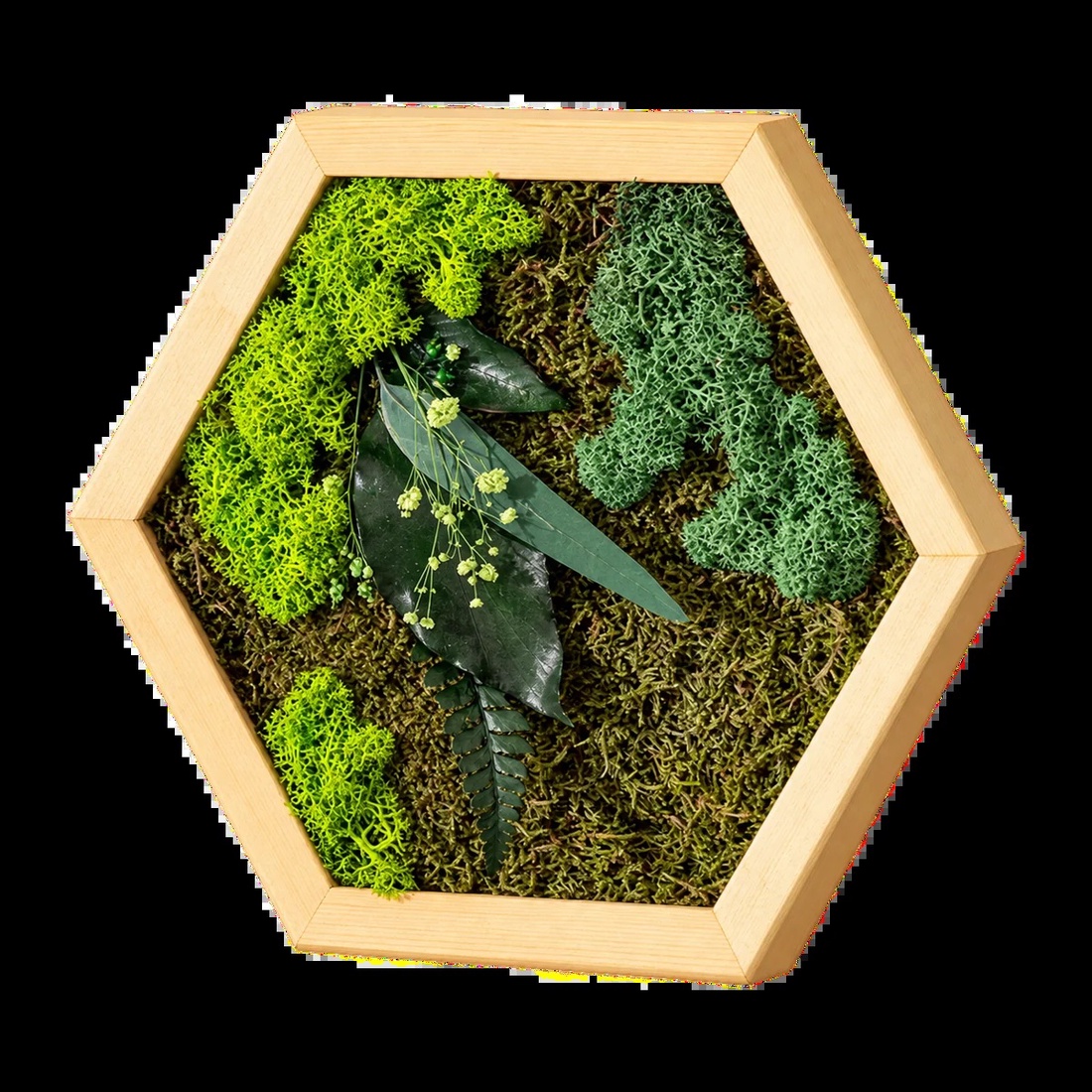 Hexagon vegetal cu licheni, mușchi și frunze stabilizate, 30�25 cm - casă & stil de viață - decorațiuni de casă - decorațiuni de pereți - tablou cu licheni - Artynos.ro