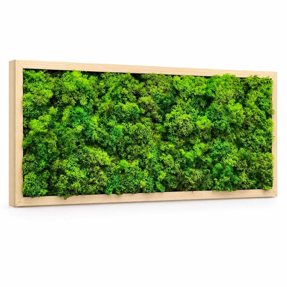 Tablou orizontal cu licheni în ramă natur, model 3269, 70�30 cm - casă & stil de viață - decorațiuni de casă - decorațiuni de pereți - tablou cu licheni - Artynos.ro