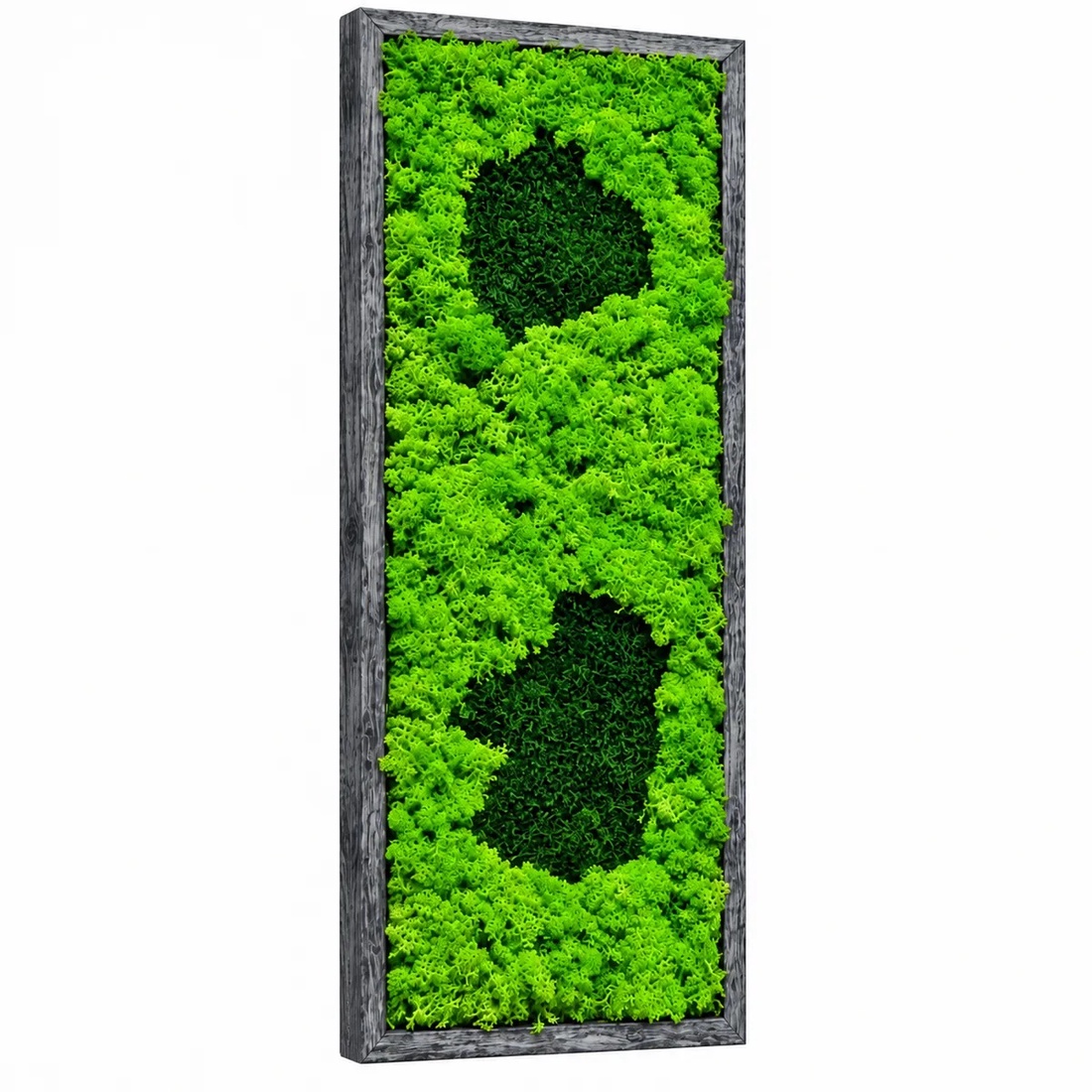 Tablou cu licheni și două motive verde închis, ramă gri, 70�30 cm - casă & stil de viață - decorațiuni de casă - decorațiuni de pereți - tablou cu licheni - Artynos.ro