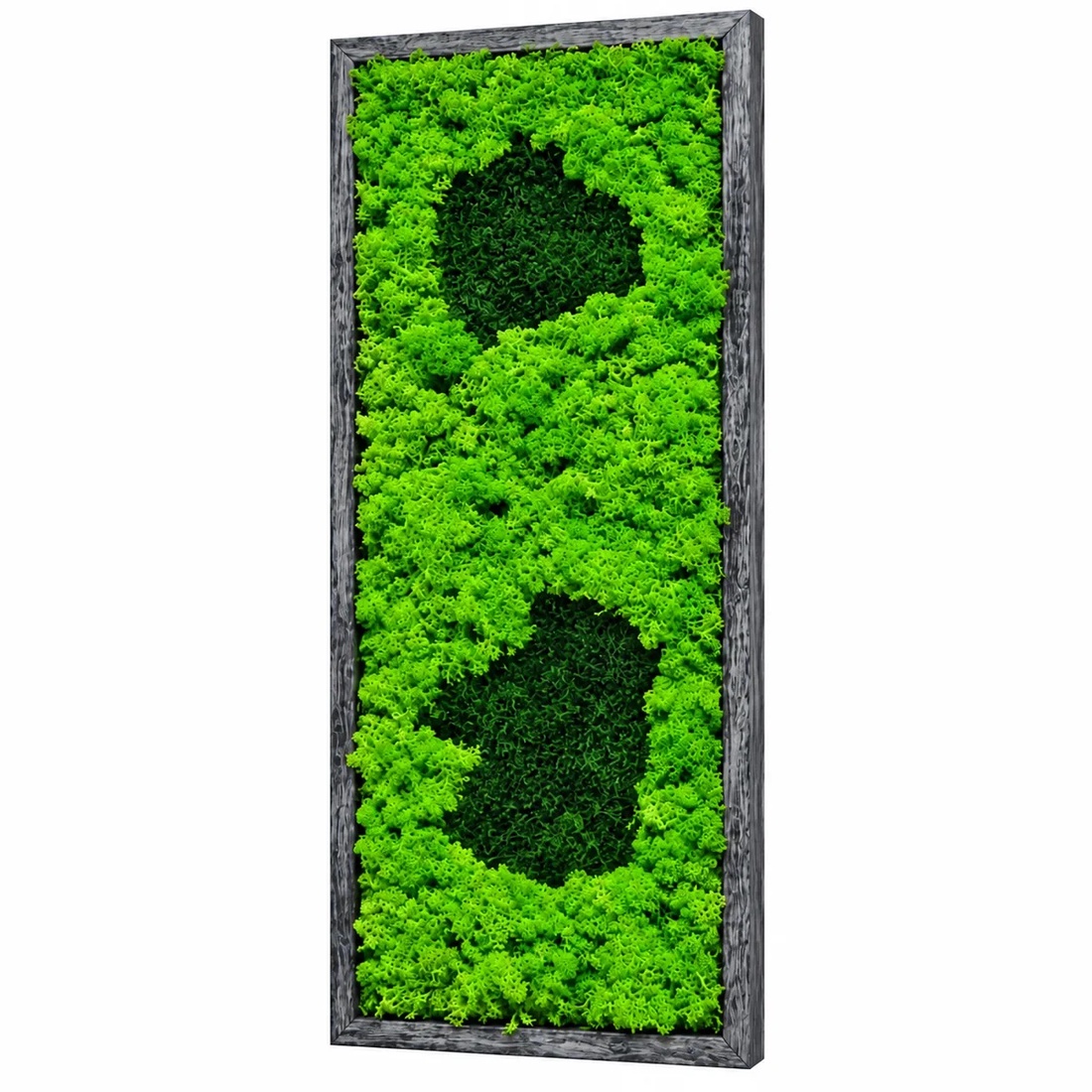Tablou cu licheni și două motive verde închis, ramă gri, 70�30 cm - casă & stil de viață - decorațiuni de casă - decorațiuni de pereți - tablou cu licheni - Artynos.ro