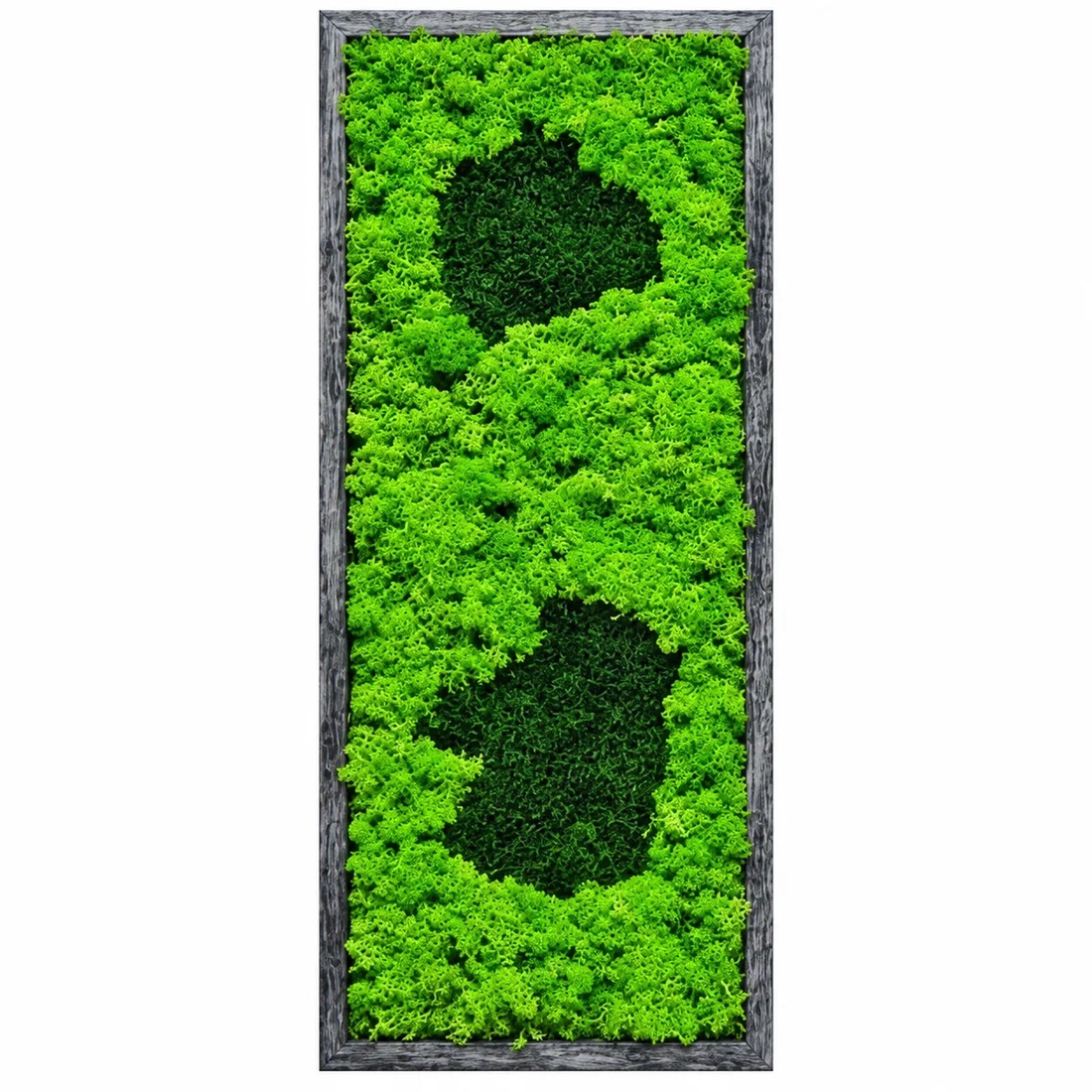 Tablou cu licheni și două motive verde închis, ramă gri, 70�30 cm - casă & stil de viață - decorațiuni de casă - decorațiuni de pereți - tablou cu licheni - Artynos.ro