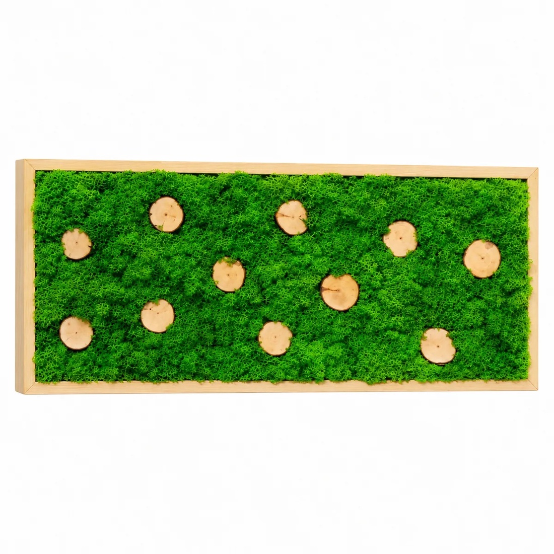 Tablou cu licheni și 11 rondele din lemn, 70�30 cm - casă & stil de viață - decorațiuni de casă - decorațiuni de pereți - tablou cu licheni - Artynos.ro