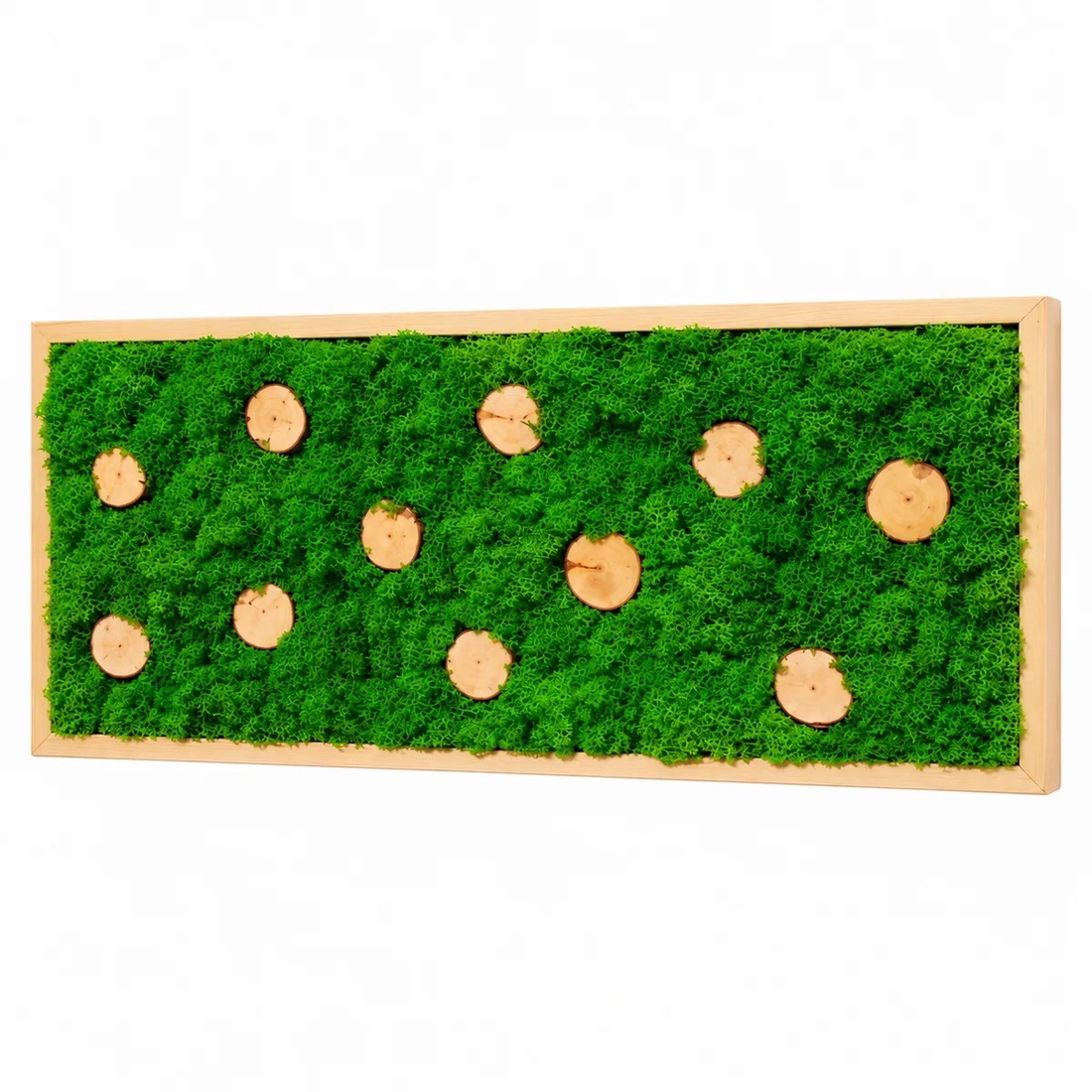 Tablou cu licheni și 11 rondele din lemn, 70�30 cm - casă & stil de viață - decorațiuni de casă - decorațiuni de pereți - tablou cu licheni - Artynos.ro