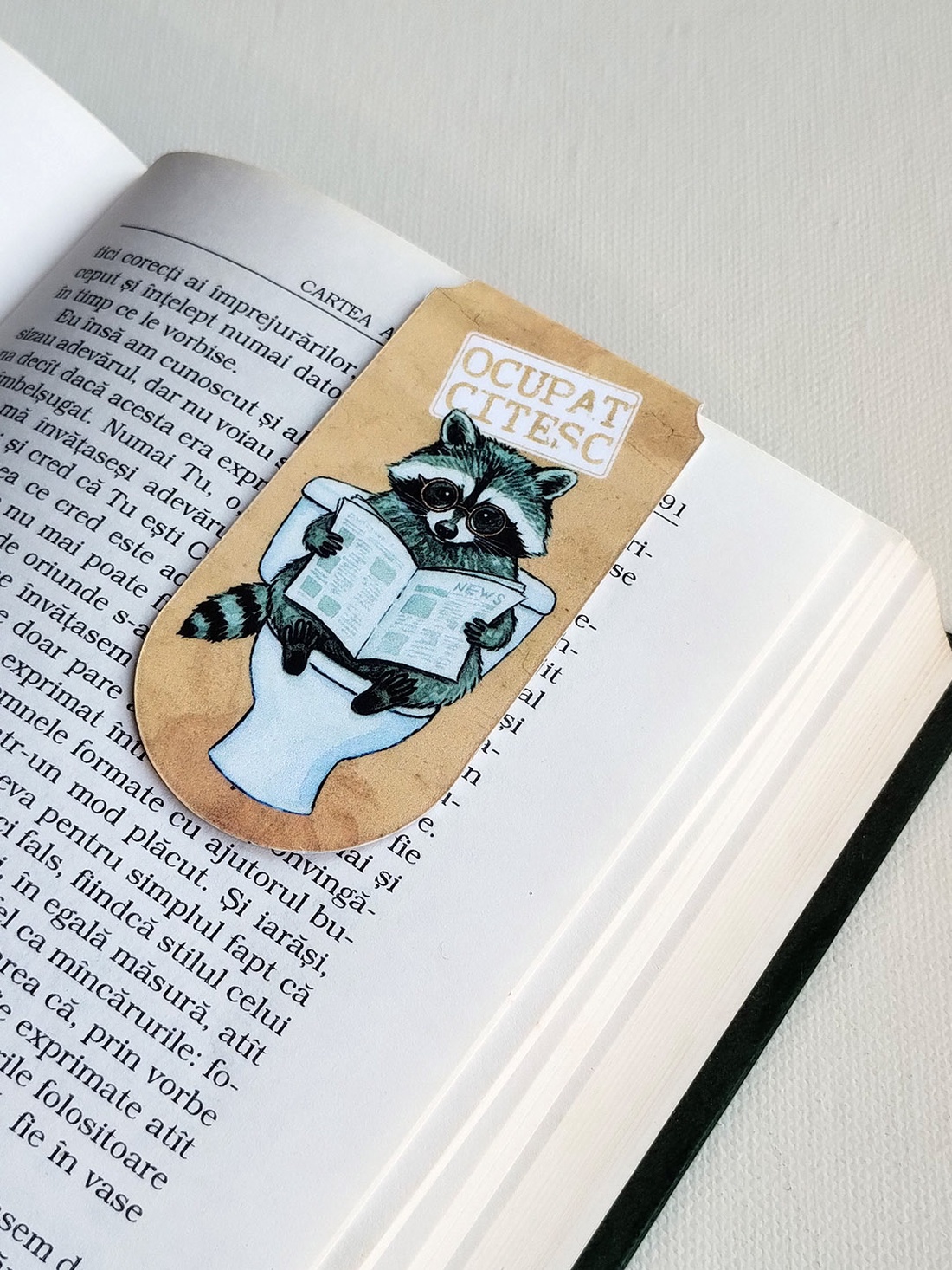Semn de carte magnetic Ocupat. Citesc - Raton la toaleta - cărți și creații cu tematică muzicală, cadouri - semn de carte - Artynos.ro