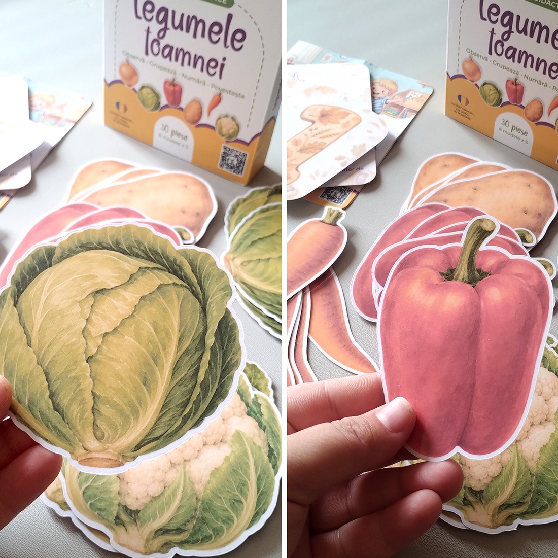 Jetoane didactice � Legumele toamnei - jucării și echipamente pentru copii - jocuri de gândire - jocuri educative - Artynos.ro