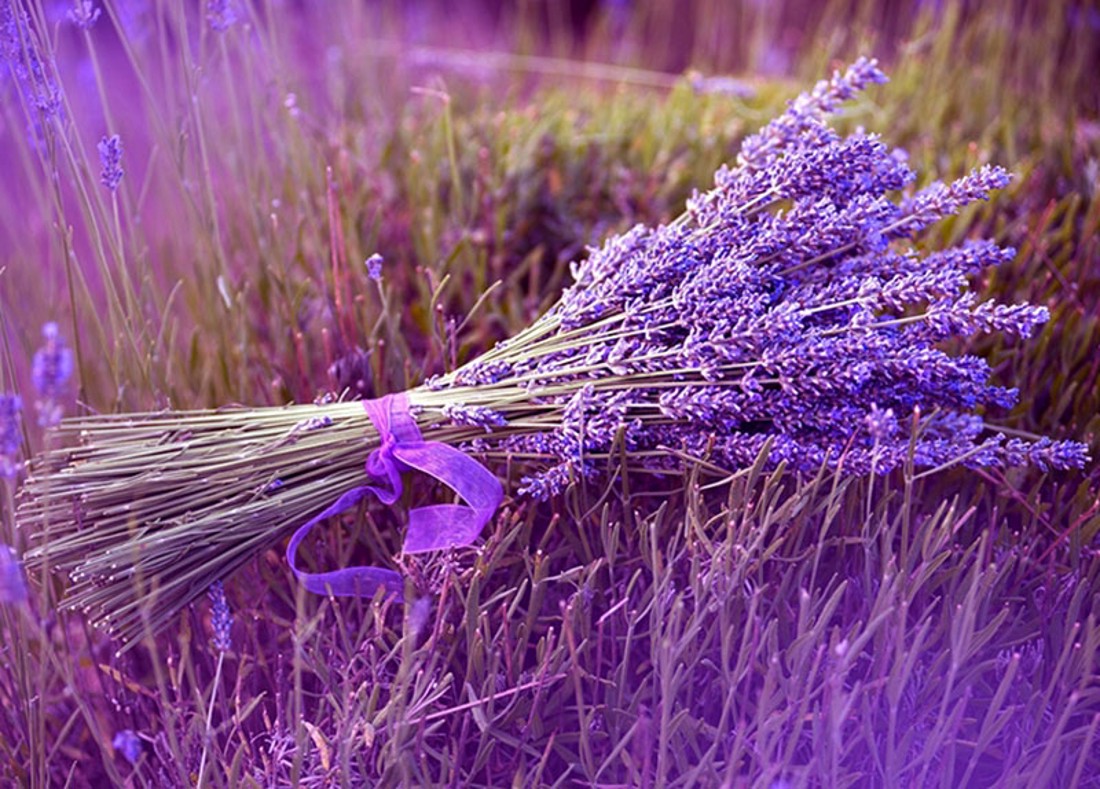 Lavanda din perle (1 fir) GYV01-3-25 - casă & stil de viață - accesorii pentru decorat casa - decorațiuni de masă și decorațiuni pentru rafturi - copac cu mărgele, copac de sârmă, copac mineral - Artynos.ro Lavanda din perle (1 fir) GYV01-3-25 - casă & stil de viață - accesorii pentru decorat casa - decorațiuni de masă și decorațiuni pentru rafturi - copac cu mărgele, copac de sârmă, copac mineral - Artynos.ro