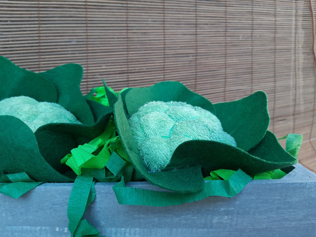 Feluri de mâncare cu file - Broccoli -  - Artynos.ro