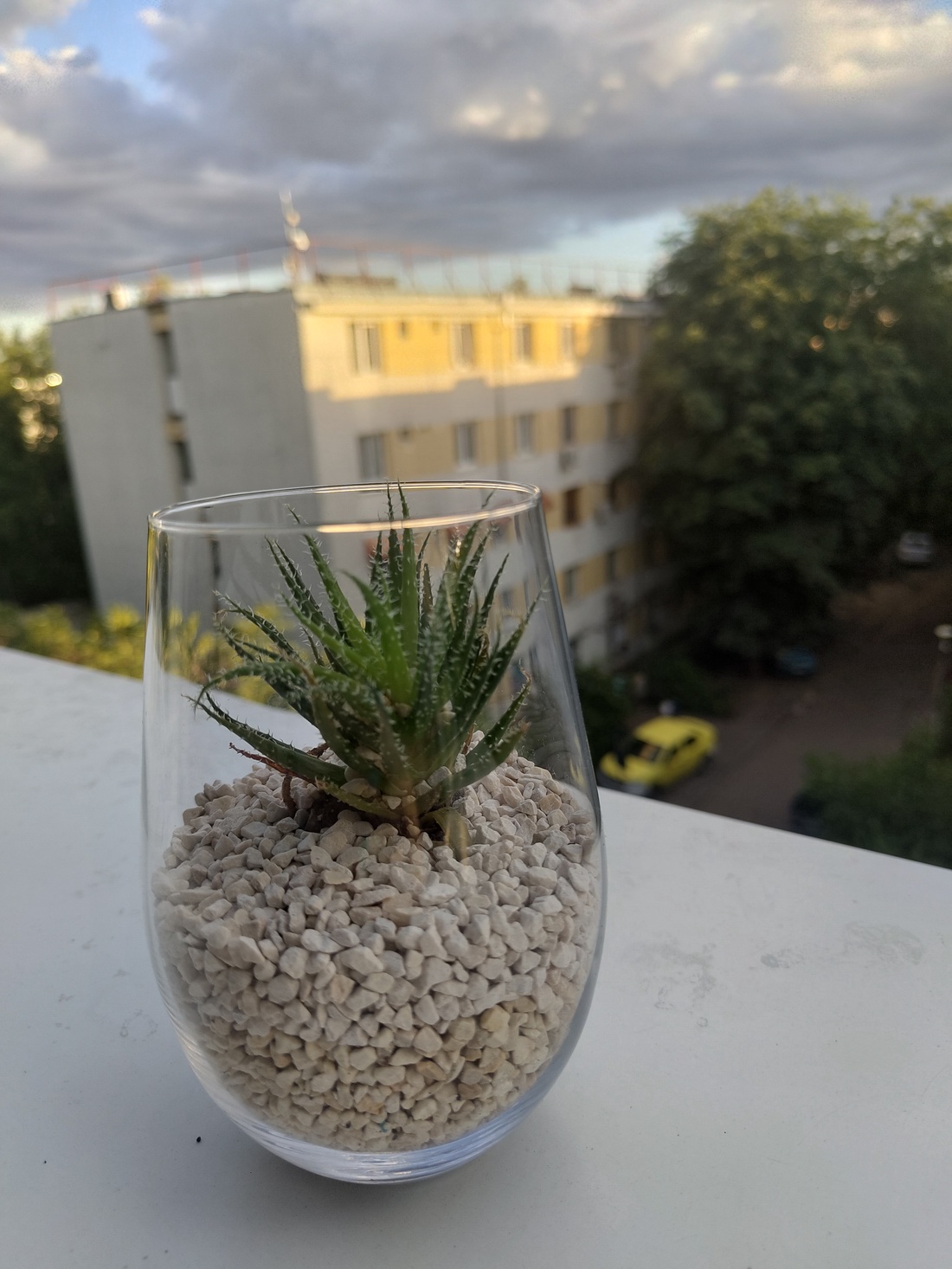 Aranjamente cu plante - casă & stil de viață - accesorii pentru casă și grădină - cultivarea plantelor - Artynos.ro Aranjamente cu plante - casă & stil de viață - accesorii pentru casă și grădină - cultivarea plantelor - Artynos.ro