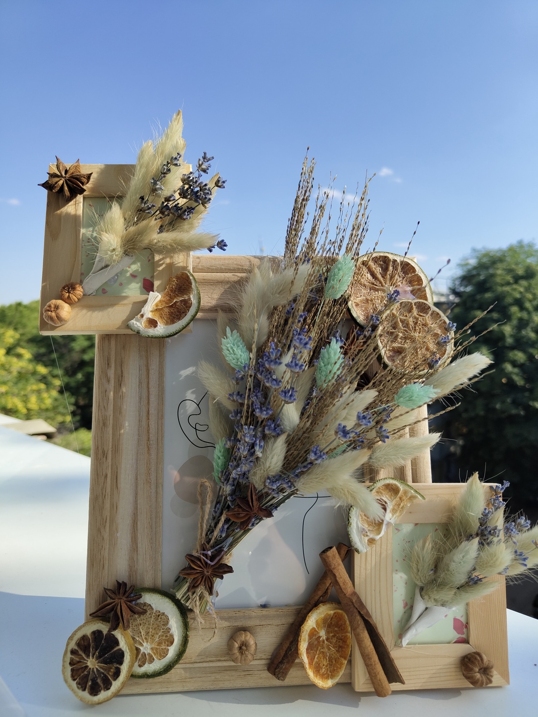 Natura in rama - casă & stil de viață - accesorii pentru casă și grădină - cultivarea plantelor - Artynos.ro Natura in rama - casă & stil de viață - accesorii pentru casă și grădină - cultivarea plantelor - Artynos.ro