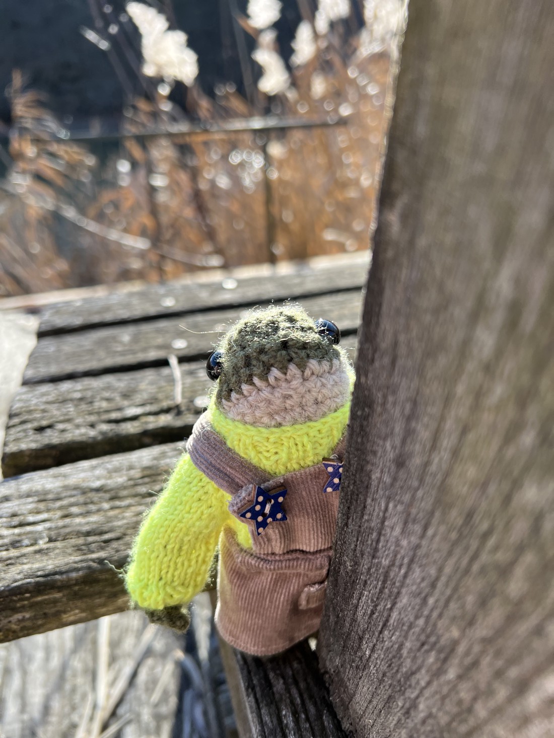 Broască premium lucrată manual în rochie de catifea - Vine cu ambalaj decorativ. Jucărie cu design unic -  - Artynos.ro