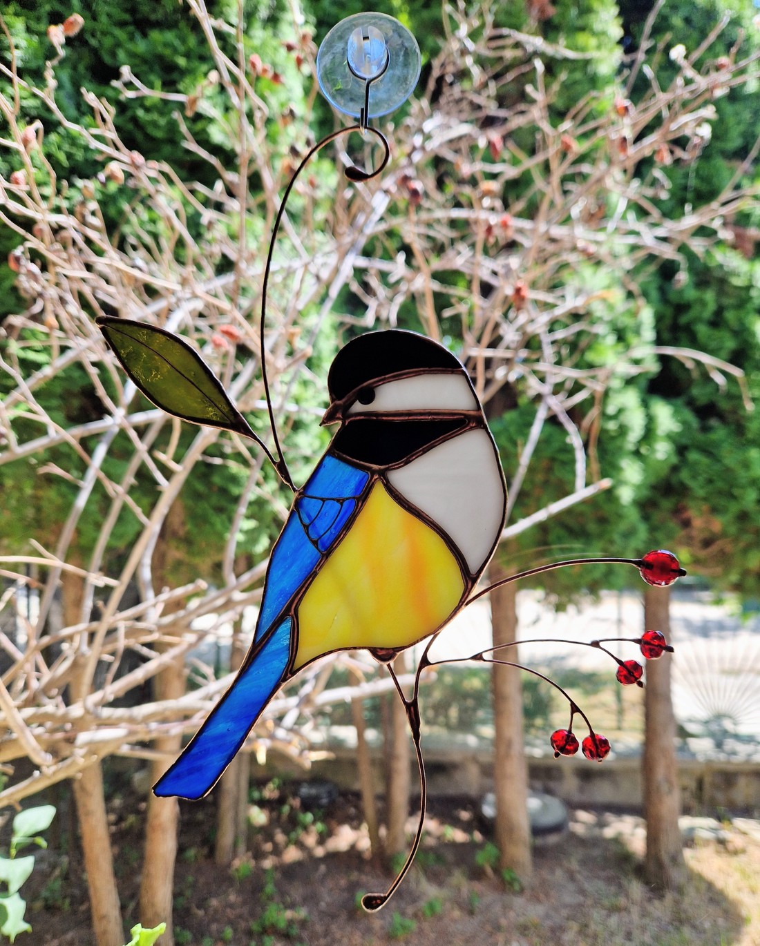 Decorațiuni pentru ferestre Bluefinch -  - Artynos.ro
