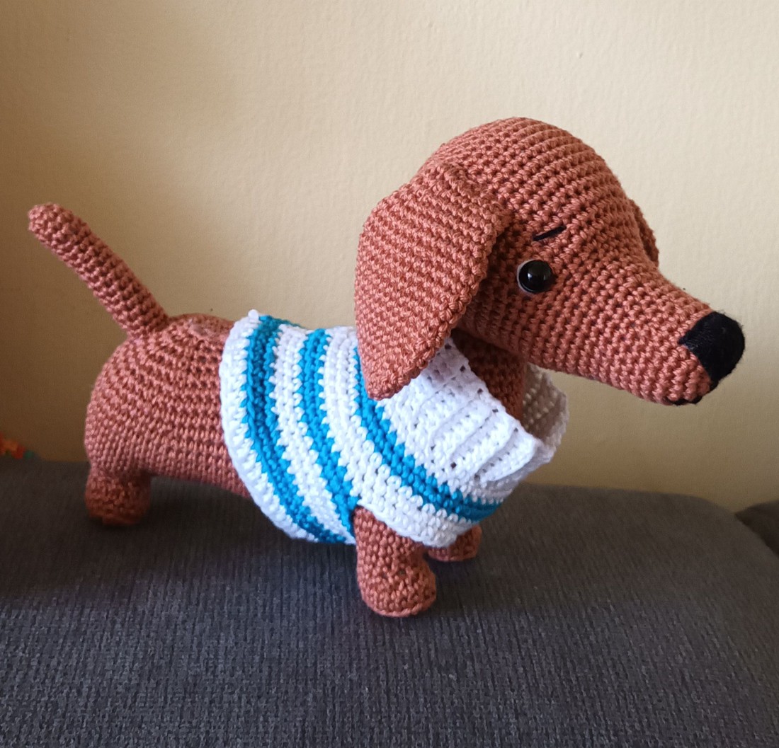 Dachshund în pulover - - Artynos.ro Dachshund în pulover - - Artynos.ro
