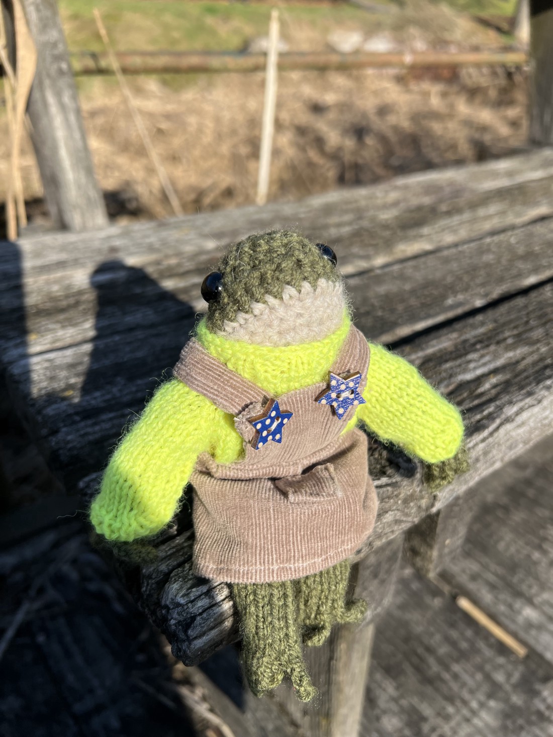 Broască premium lucrată manual în rochie de catifea - Vine cu ambalaj decorativ. Jucărie cu design unic -  - Artynos.ro