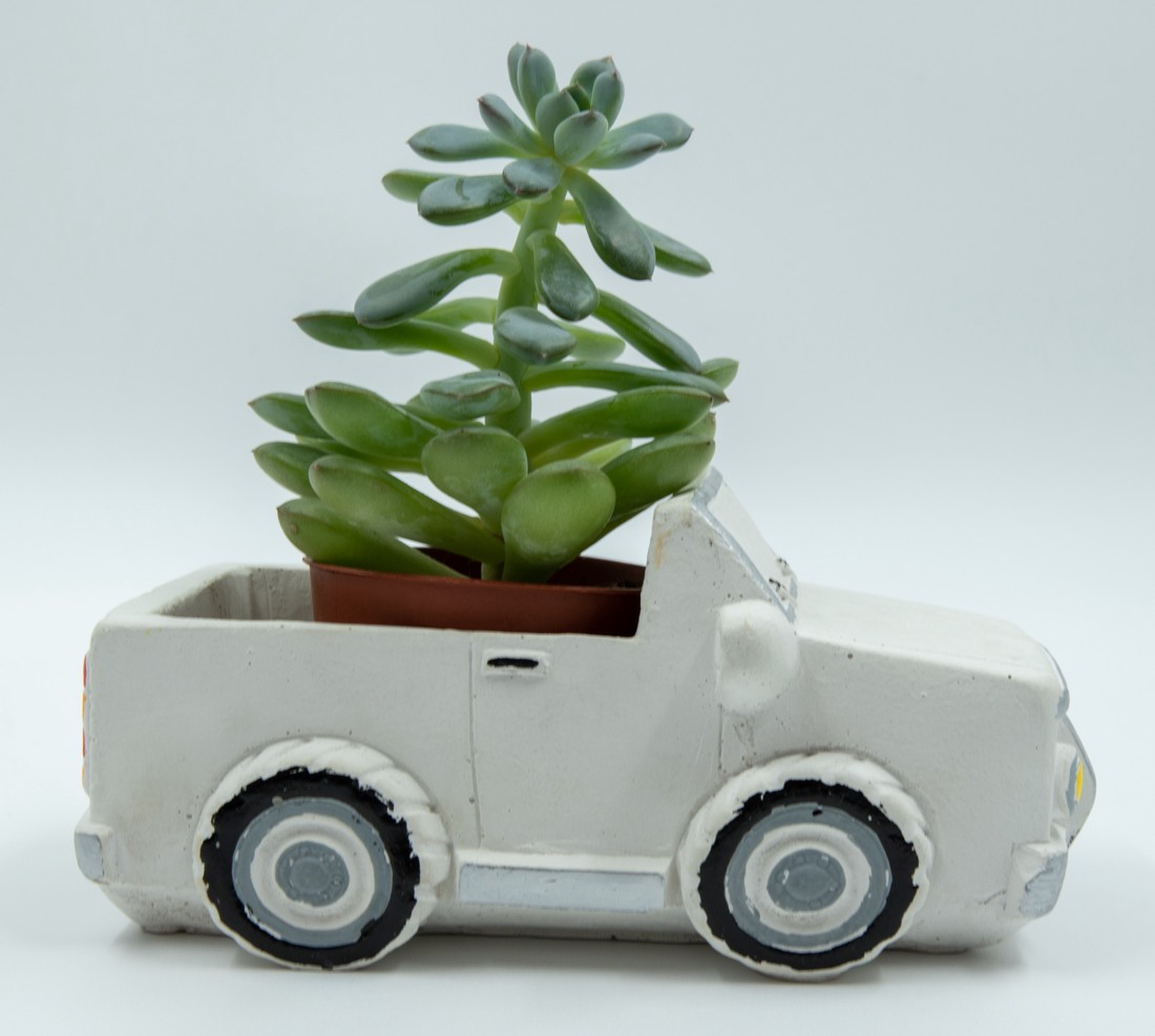 Material de beton Alb - pickup auriu cu pană de cauciuc -  - Artynos.ro