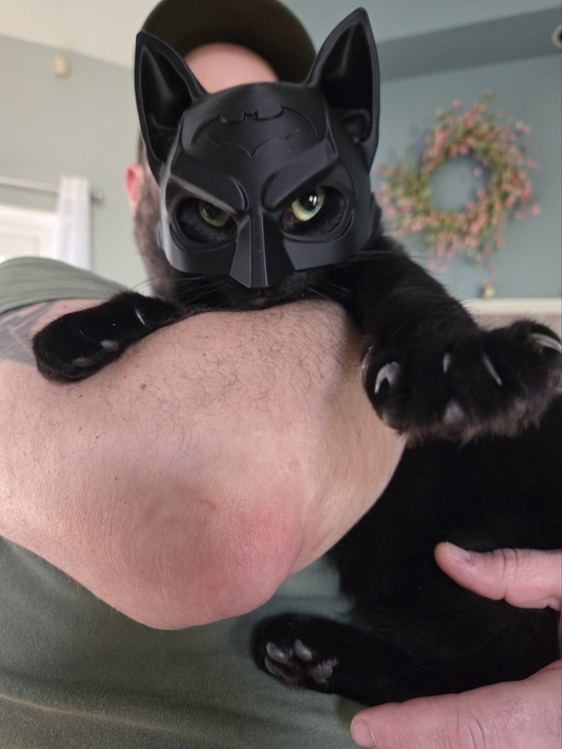 Masca Batman Cica -  - Artynos.ro