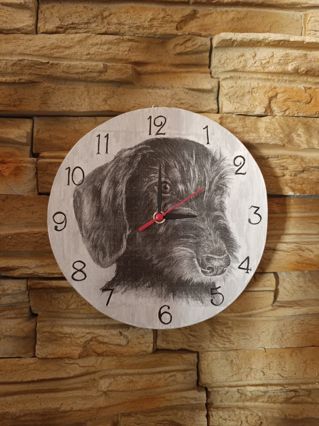 Dachshund cu păr spinos pe ceas de perete - - Artynos.ro Dachshund cu păr spinos pe ceas de perete - - Artynos.ro