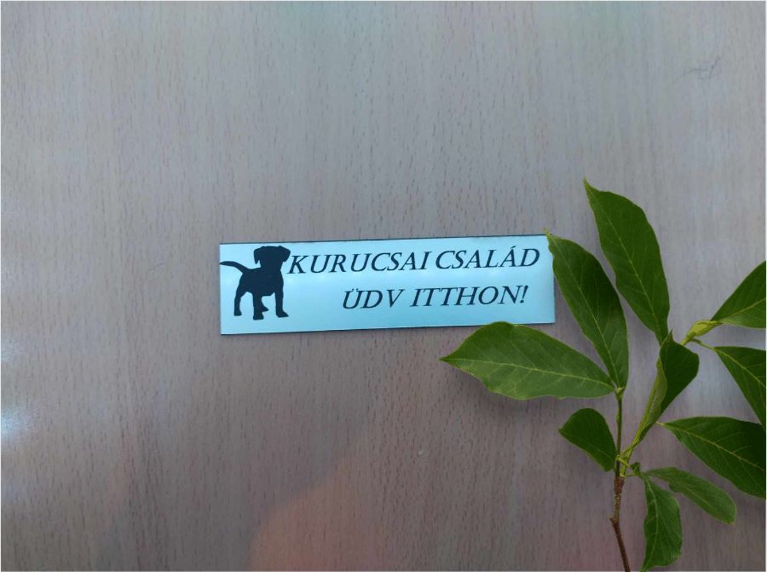 Placă de nume gravată -  - Artynos.ro