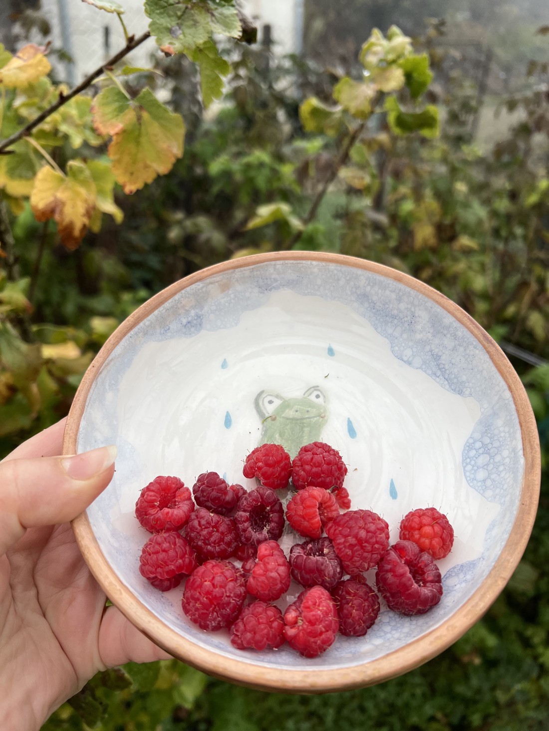Bol ceramic pictat manual - Broasca 15 cm - casă & stil de viață - accesorii pentru echipamente de bucătărie - accesorii de servire - boluri și farfurii din lemn, bol de servire - Artynos.ro