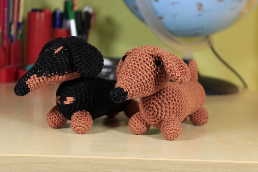Cățeluș Dachshund - - Artynos.ro Cățeluș Dachshund - - Artynos.ro