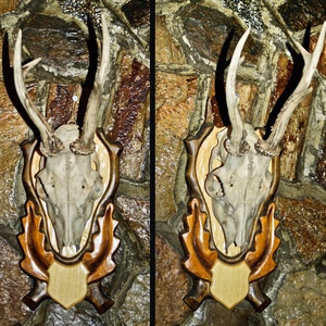 panoplie pentru caprior - jucării și echipamente pentru copii - accesorii sport - accesorii pentru vânătoare - Artynos.ro