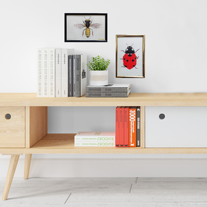 Ilustratie Pictura Tablou Buburuza in Acuarele pe Hartie - arte vizuale și accesorii  - picturi - acuarele picturi - Artynos.ro